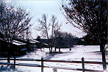 snow scene over fence