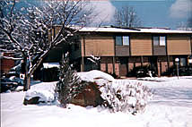 rock garden in the snow